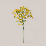 Gipsophila a doppio petalo •  46 cm