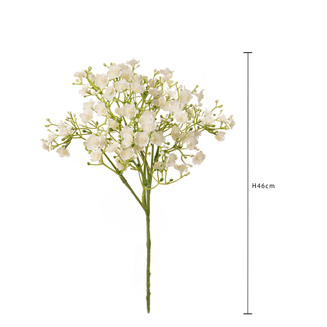 Gipsophila Doppio Petalo • 46 cm