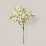 Gipsophila Doppio Petalo • 46 cm