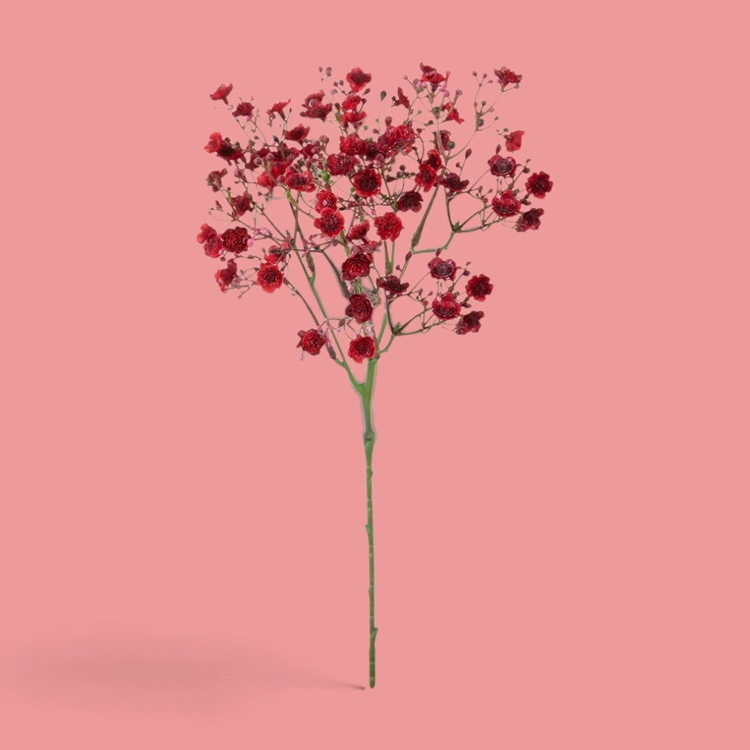12 Pezzi • Gipsophila a doppio petalo •  46 cm