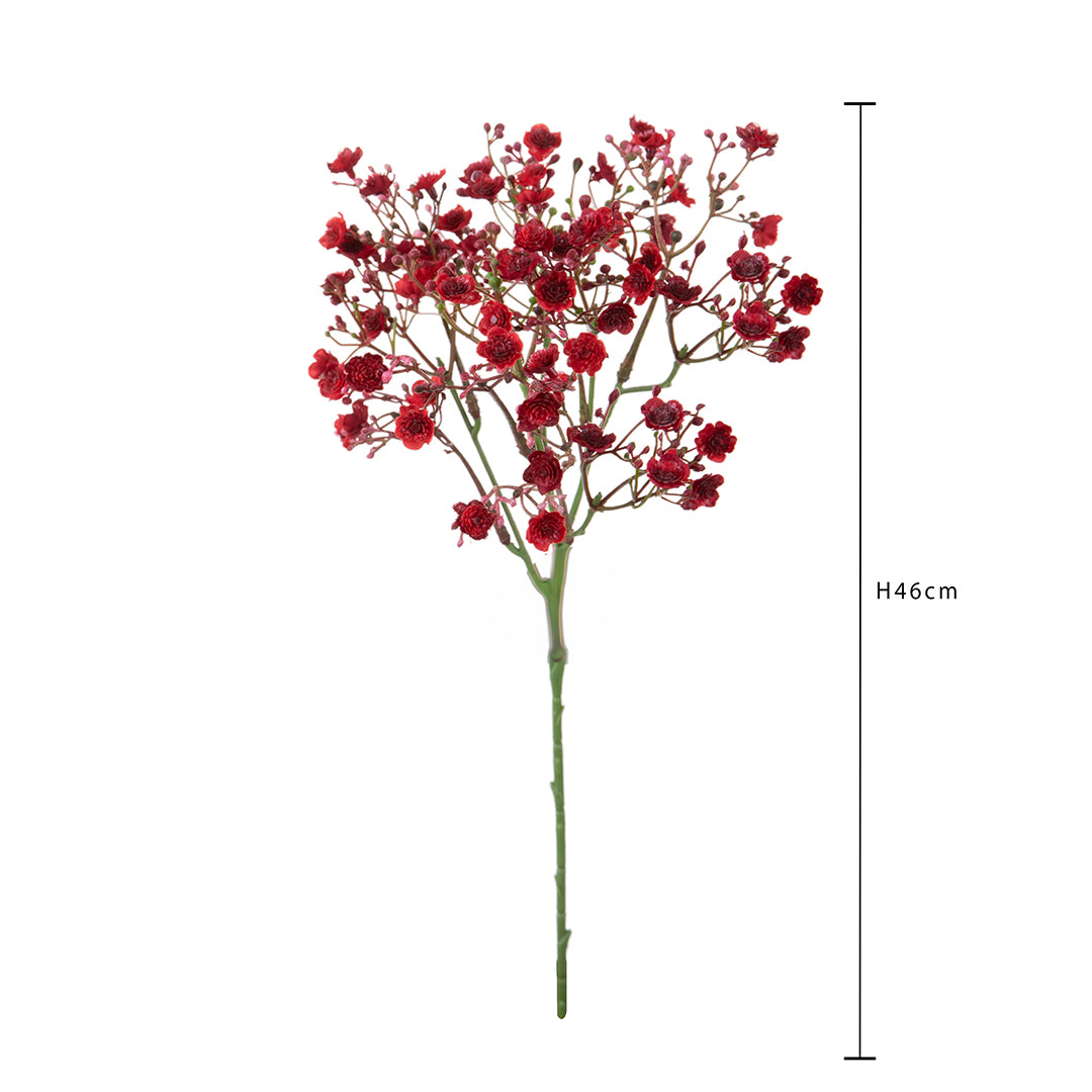 Gipsophila a doppio petalo •  46 cm