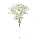Gipsophila a doppio petalo •  46 cm