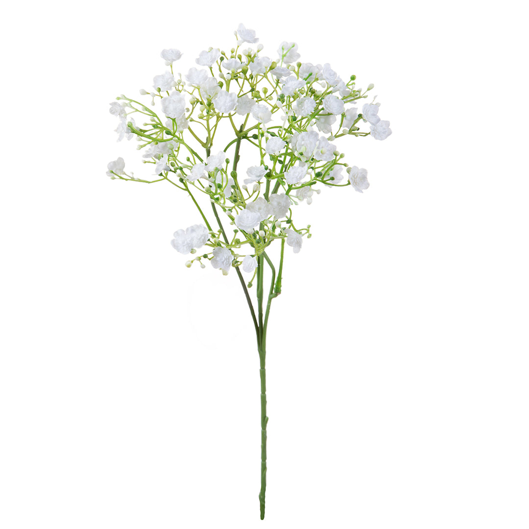 Gipsophila a doppio petalo •  46 cm