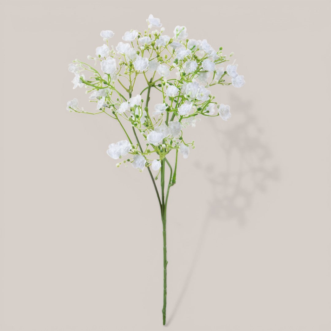 Gipsophila a doppio petalo •  46 cm