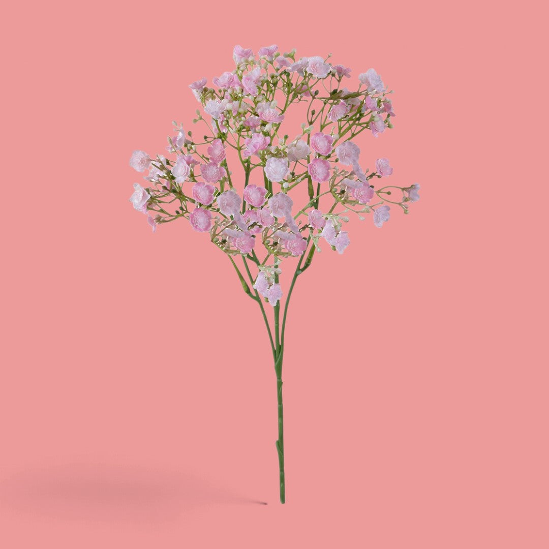12 Pezzi • Gipsophila a doppio petalo •  46 cm