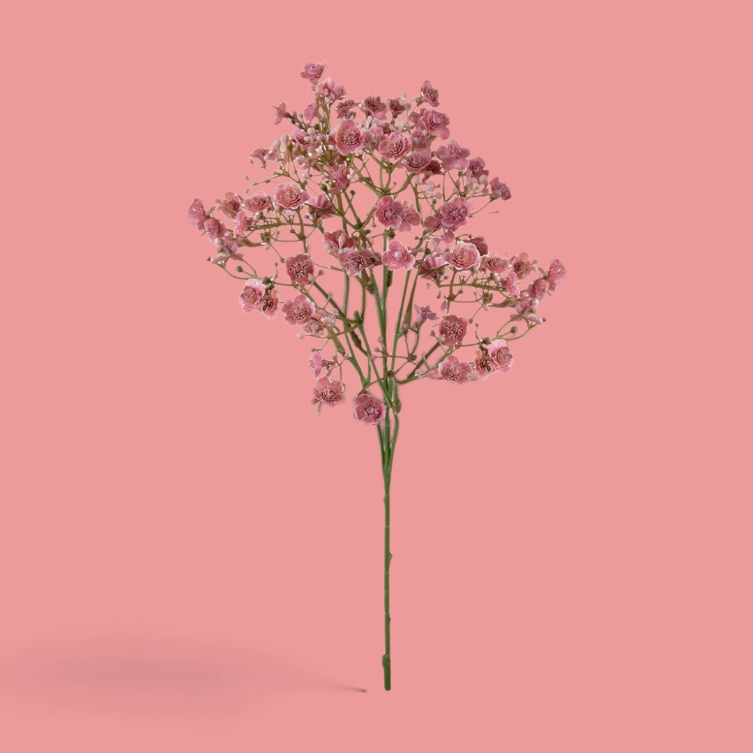 12 Pezzi • Gipsophila a doppio petalo •  46 cm