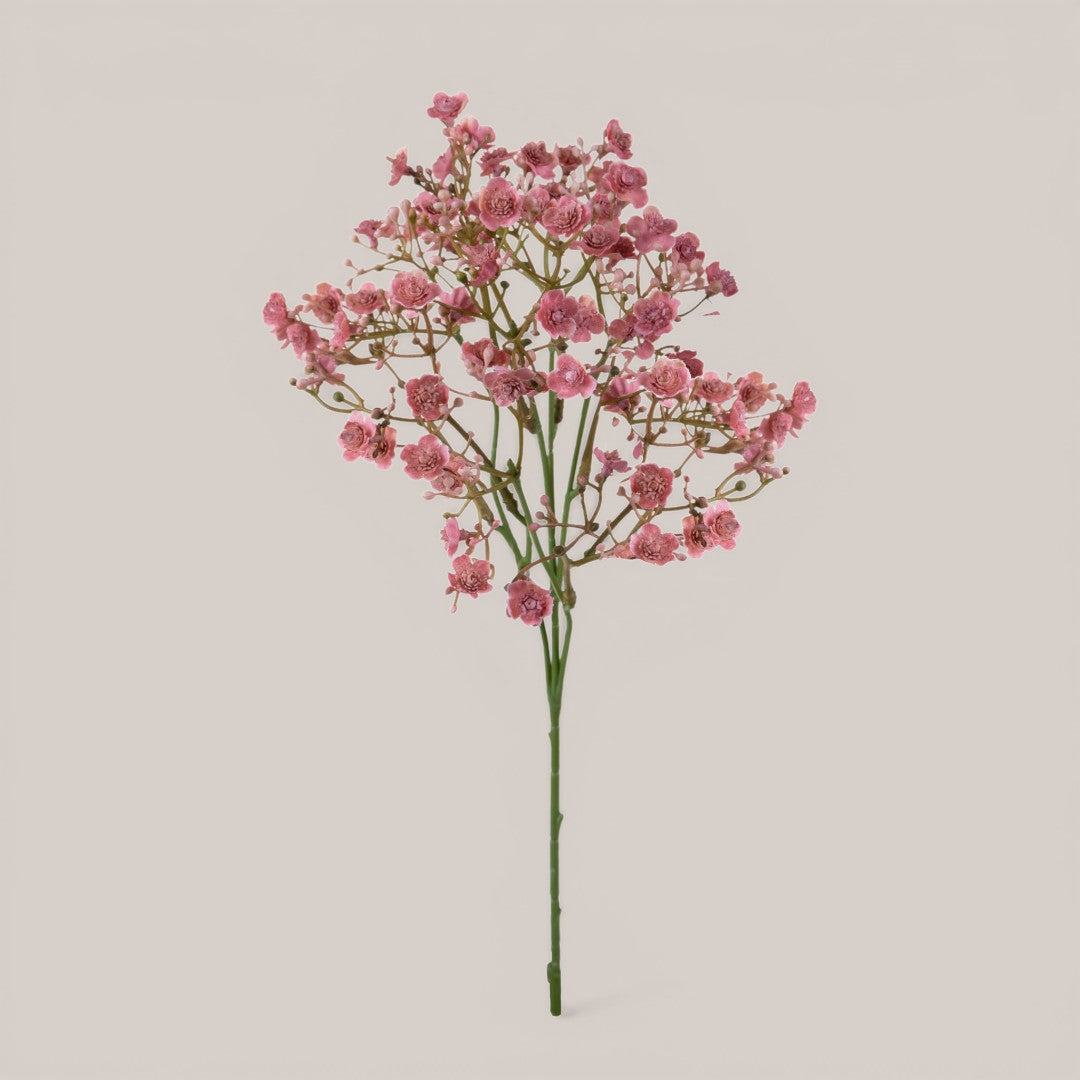 Gipsophila a doppio petalo •  46 cm