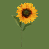 Girasole • 48 cm