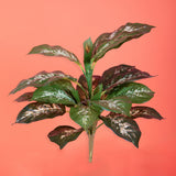 2 Pezzi • Diffenbachia per 22 foglie artificiale • 38 cm
