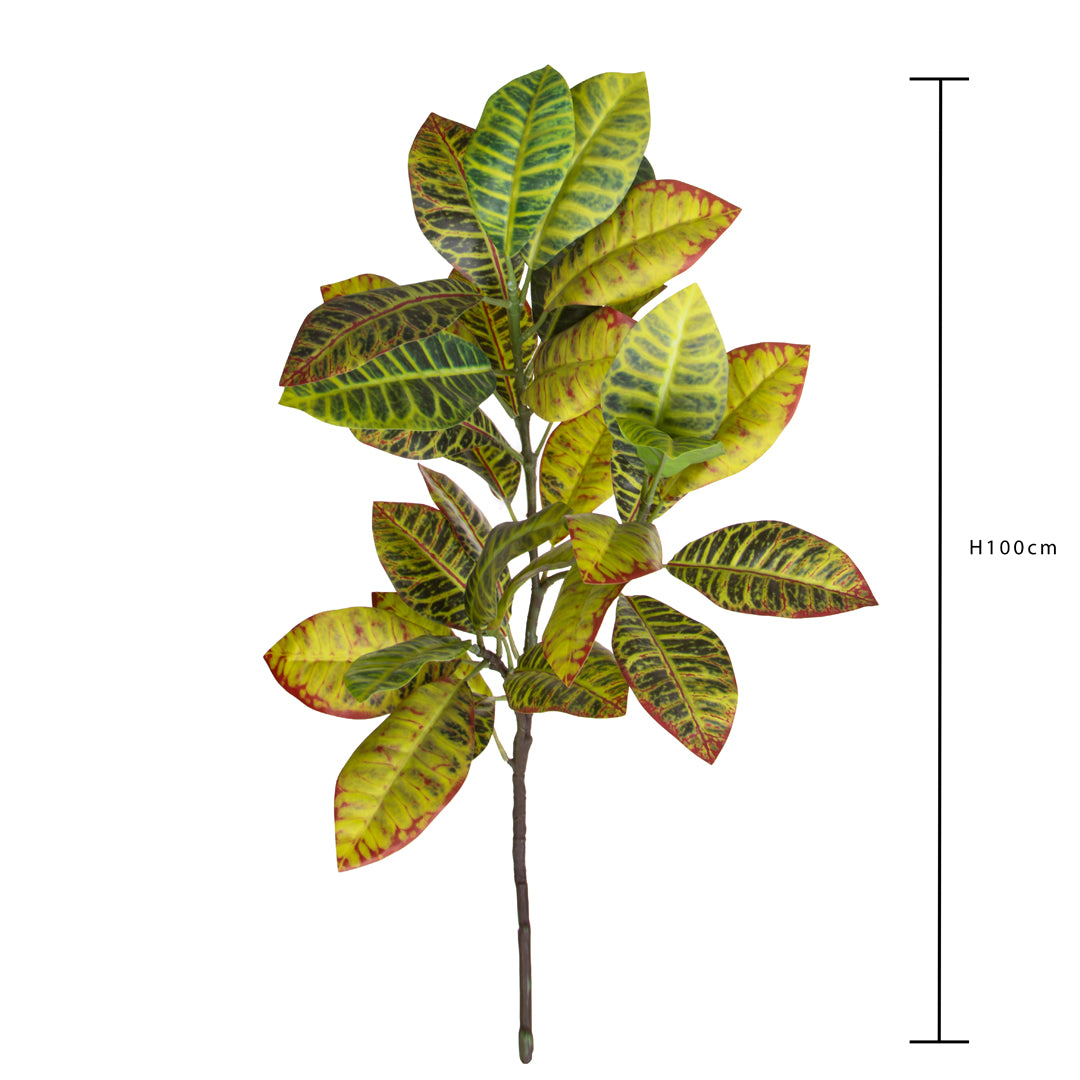 Pianta Croton 22 Foglie • 100 cm