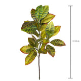 Pianta Croton 22 Foglie • 100 cm