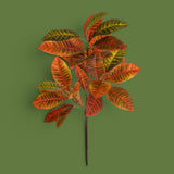 Pianta Croton 22 Foglie • 100 cm