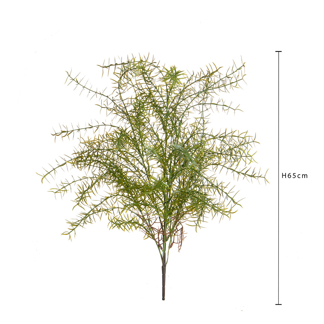 Springeri Mazzo • 65 cm
