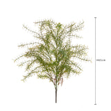 Springeri Mazzo • 65 cm