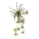 Phalangium 40 foglie • 88 cm