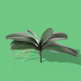 Orchiedea artificiale con 6 foglie •  36 cm