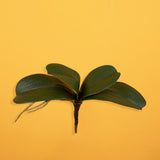 Orchidea artificiale  con 4 foglie artificiale •  36 cm