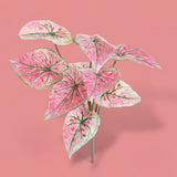 Syngonium con foglie Real Touch artificiale •  31 cm