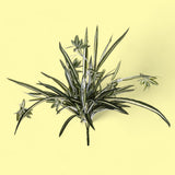 Phalangium con 90 foglie artificiale •  60 cm