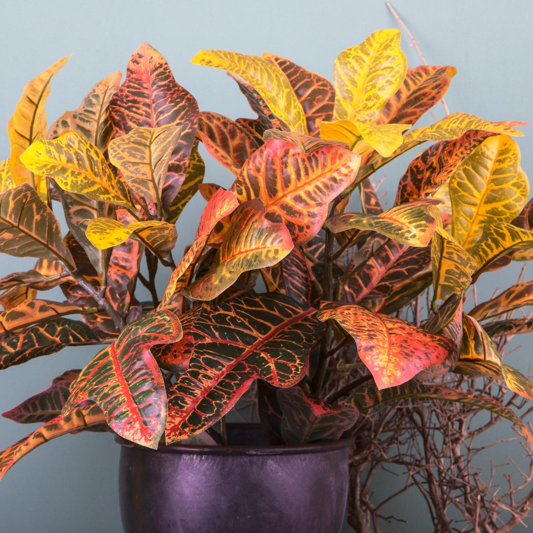 Croton pianta artificiale •  60 cm