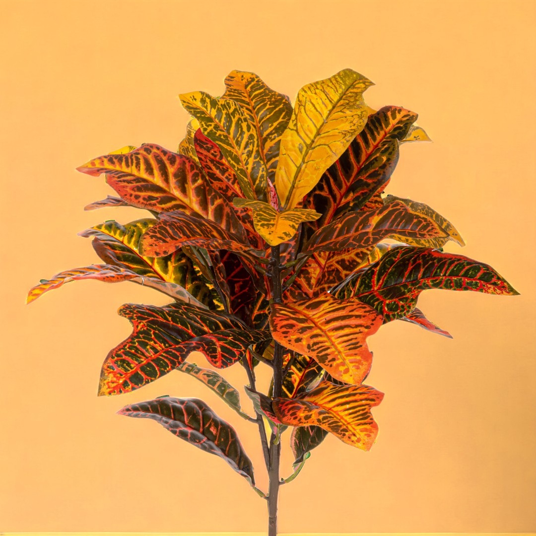 Croton pianta artificiale •  60 cm