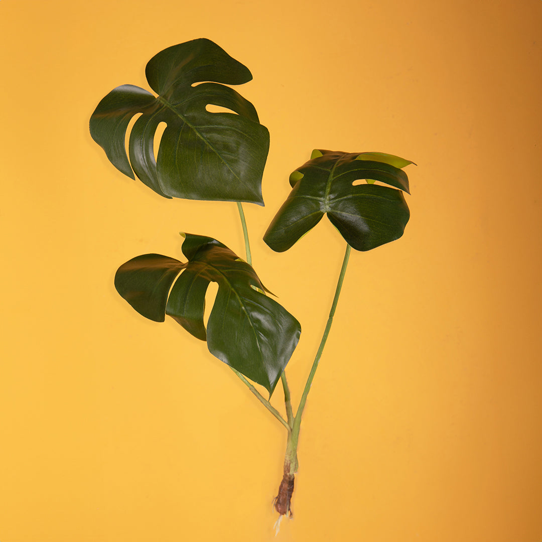 Monstera pianta artificiale •  65 cm