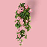 Cespuglio di fiori artificili di geranio pendente • 8,5 cm