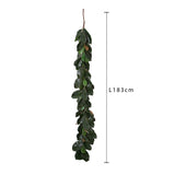 Ghirlanda Magnolia  • 183 cm