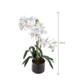 Fiore di Orchidea artificiale cymbidium 3 vaso • 56 cm