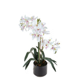 Fiore di Orchidea artificiale cymbidium 3 vaso • 56 cm