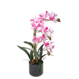 Fiore di Orchidea artificiale cymbidium 3 vaso • 56 cm