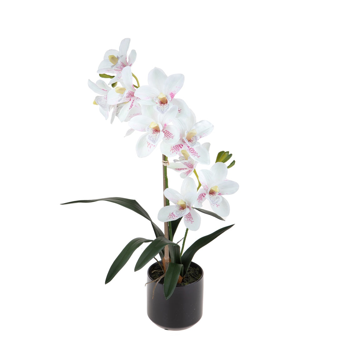 Fiore di Orchidea artificiale cymbidium 2 vaso • 50 cm