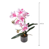 Fiore di Orchidea artificiale cymbidium 2 vaso • 50 cm