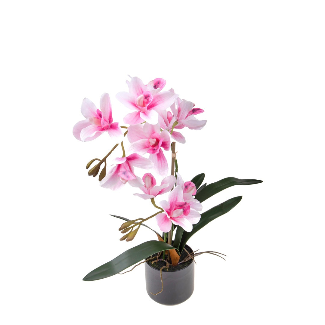 Fiore di Orchidea artificiale cymbidium 2 vaso • 50 cm