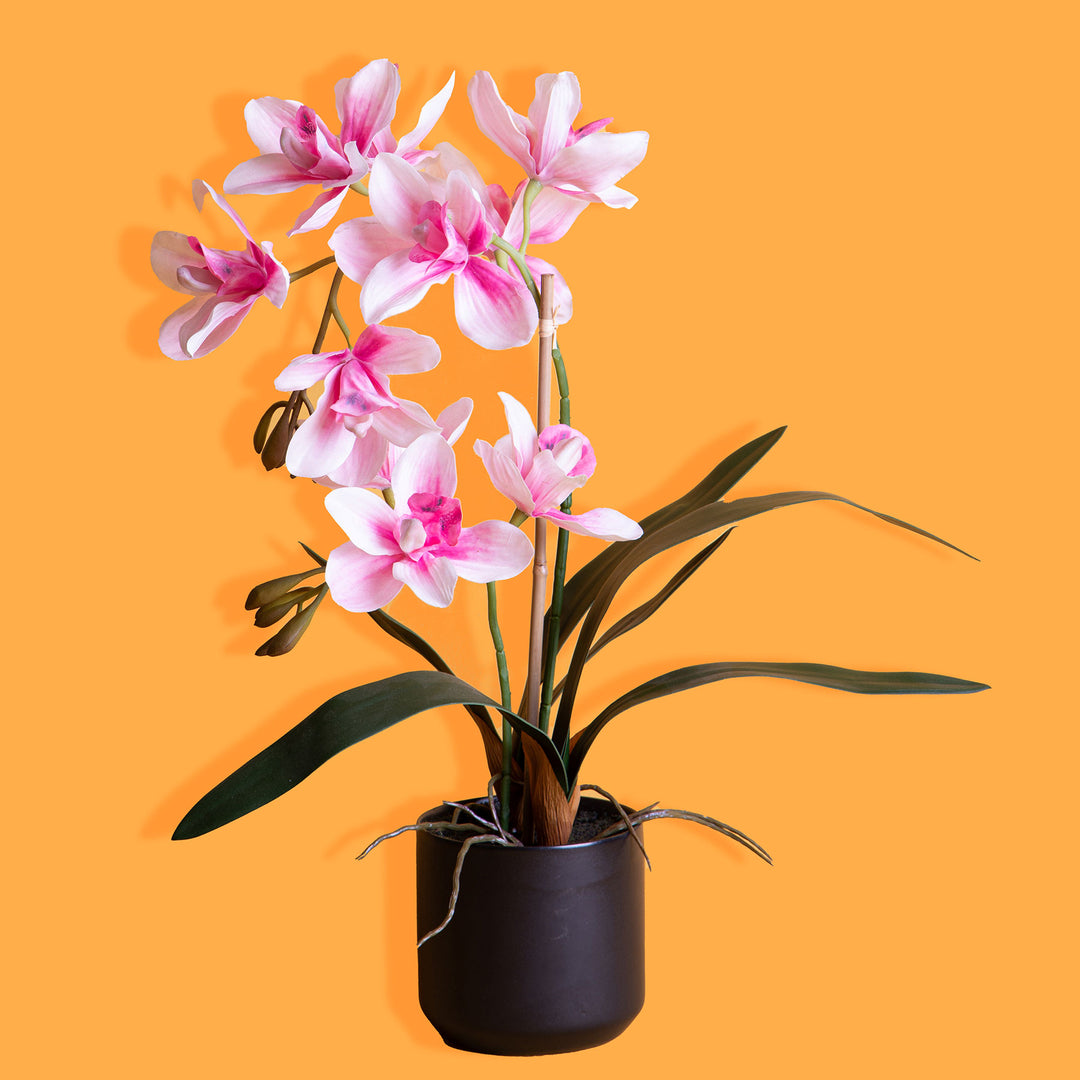 Fiore di Orchidea artificiale cymbidium 2 vaso • 50 cm