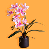 Fiore di Orchidea artificiale cymbidium 2 vaso • 50 cm
