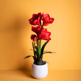 Amaryllis artificiale con vaso • 64 cm