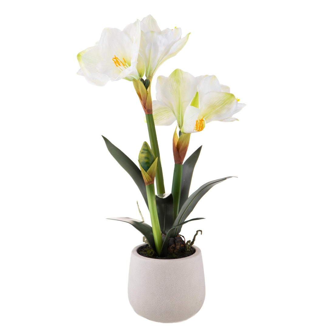 Amaryllis artificiale con vaso • 64 cm