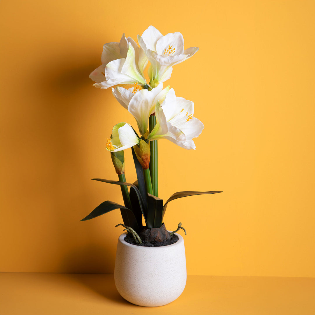 Amaryllis artificiale con vaso • 64 cm