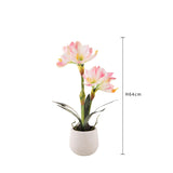 Amaryllis artificiale con vaso • 64 cm