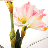 Amaryllis artificiale con vaso • 64 cm