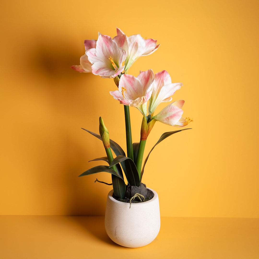 Amaryllis artificiale con vaso • 64 cm