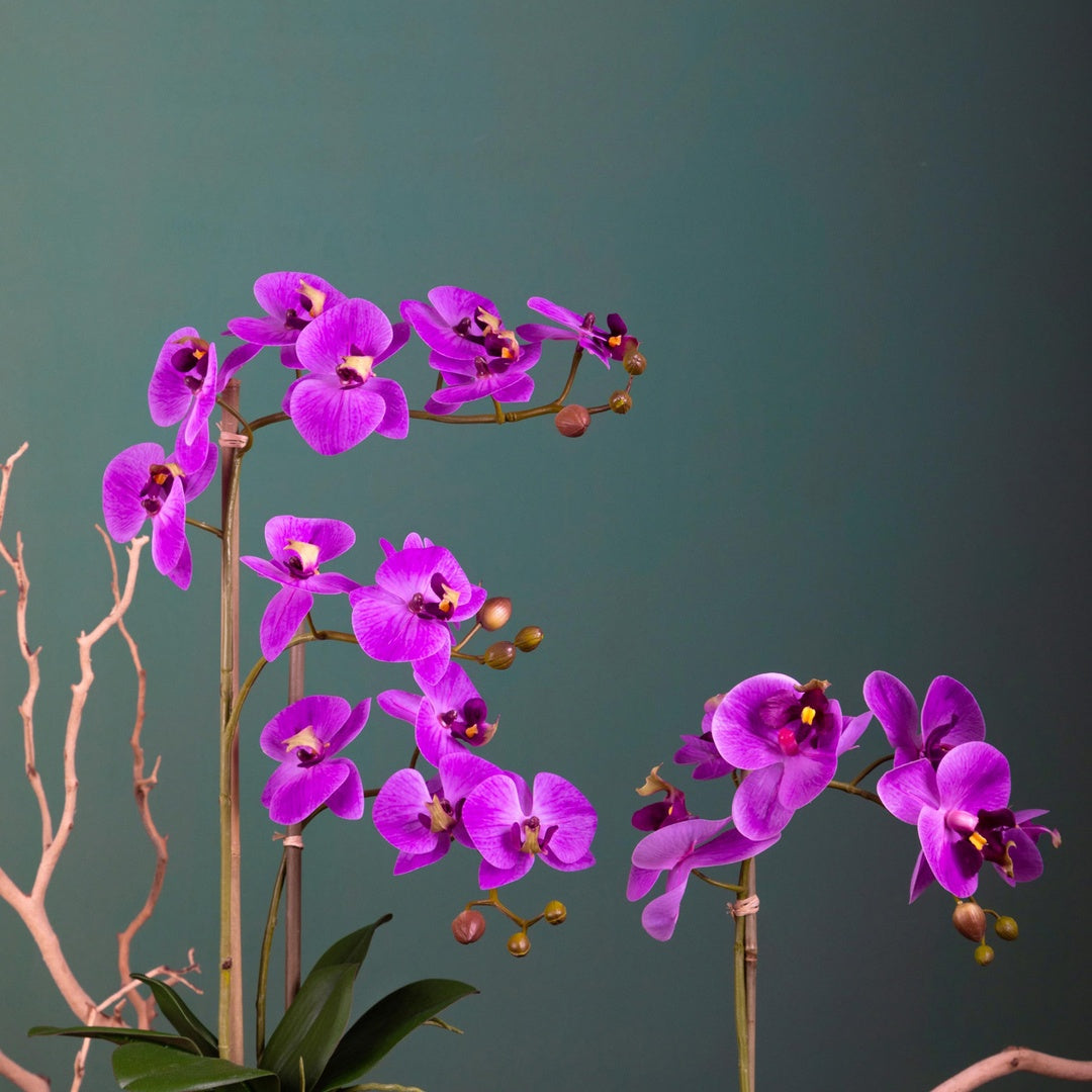 Pianta di orchidea artificiale phalaenopsis vaso • 48 cm