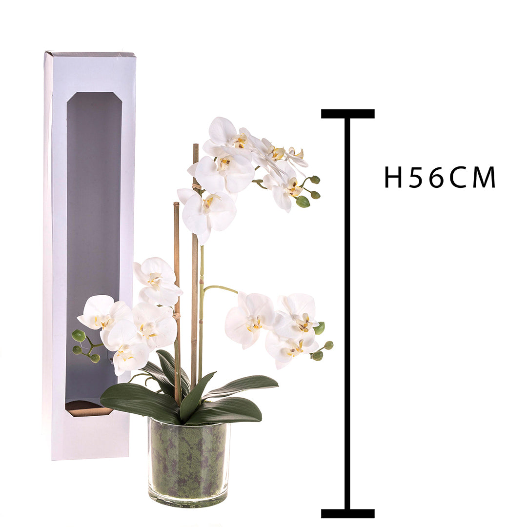 Pianta di orchidea artificiale phalaenopsis vaso • 56 cm