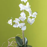 Pianta di orchidea artificiale phalaenopsis vaso • 56 cm