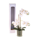 Pianta di orchidea artificiale phalaenopsis vaso • 56 cm