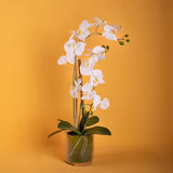 Pianta di orchidea artificiale phalaenopsis vaso • 56 cm