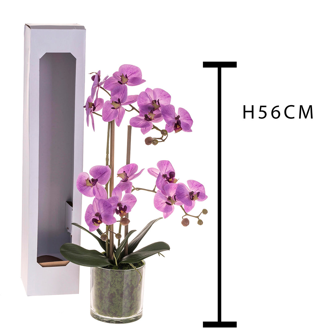 Pianta di orchidea artificiale phalaenopsis vaso • 56 cm