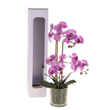 Pianta di orchidea artificiale phalaenopsis vaso • 56 cm