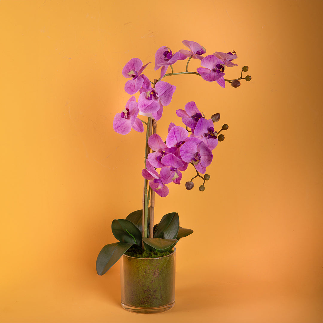 Pianta di orchidea artificiale phalaenopsis vaso • 56 cm